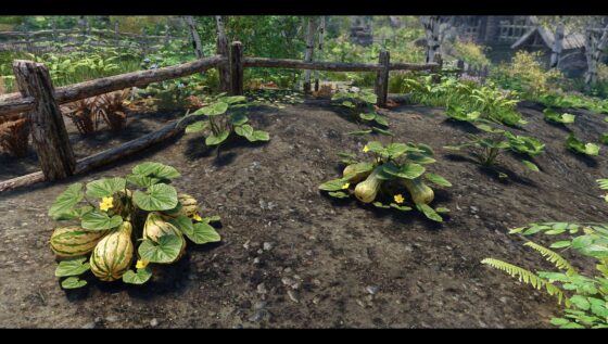 Skyrim Skyrim