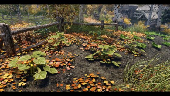 Skyrim Skyrim
