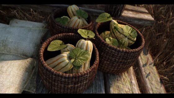 Skyrim Skyrim