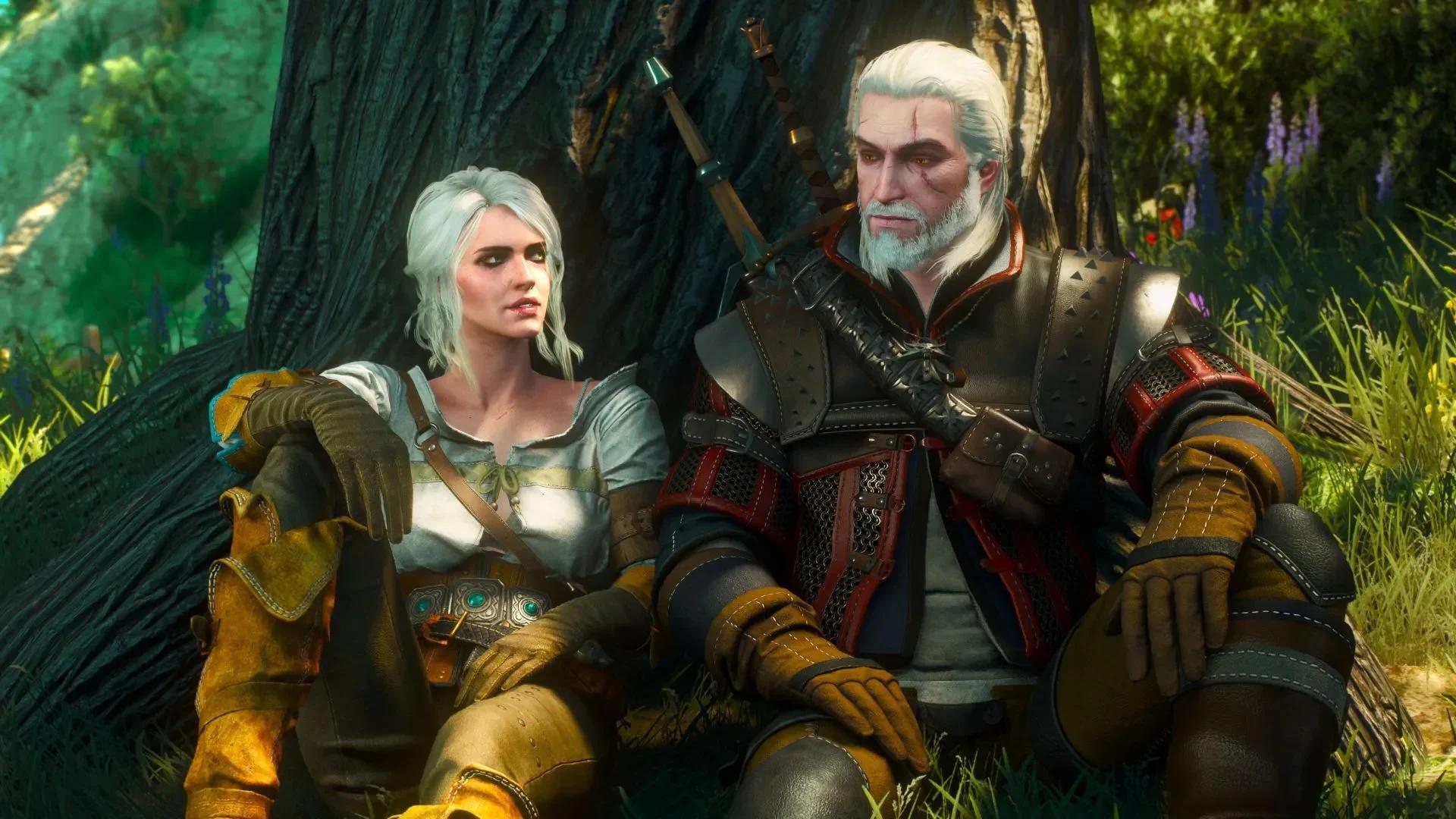 The Witcher 3 The Witcher 3