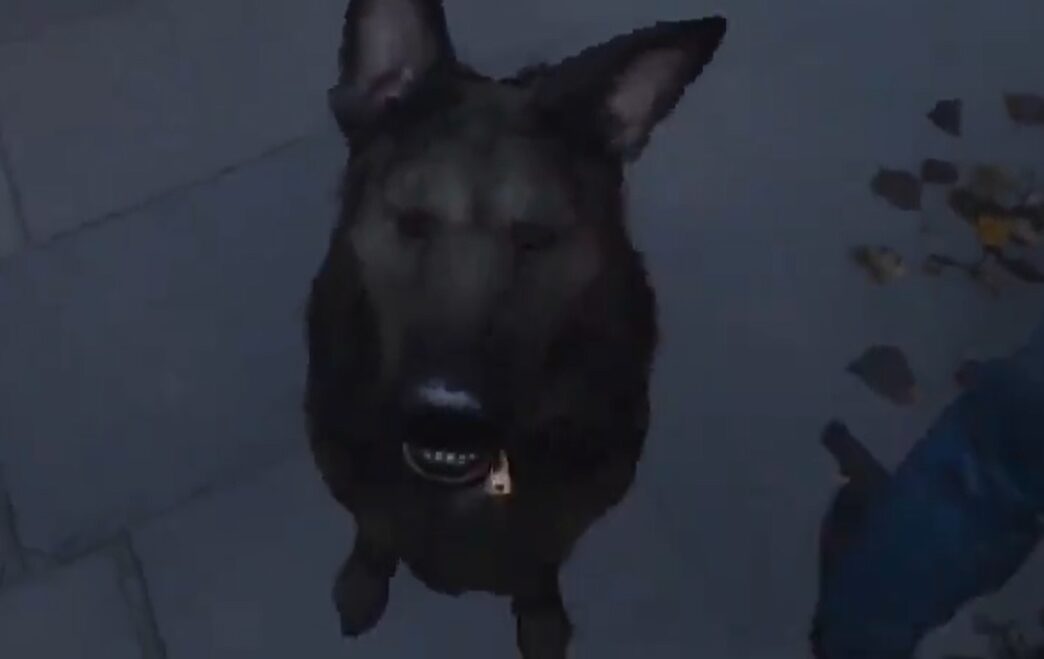 COD Modern Warfare 3 carinho cachorro