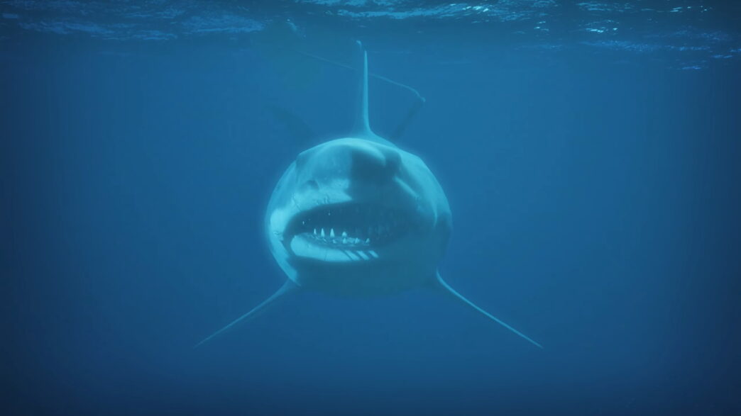 Jaws Infested Waters - jogo do tubarão no Roblox