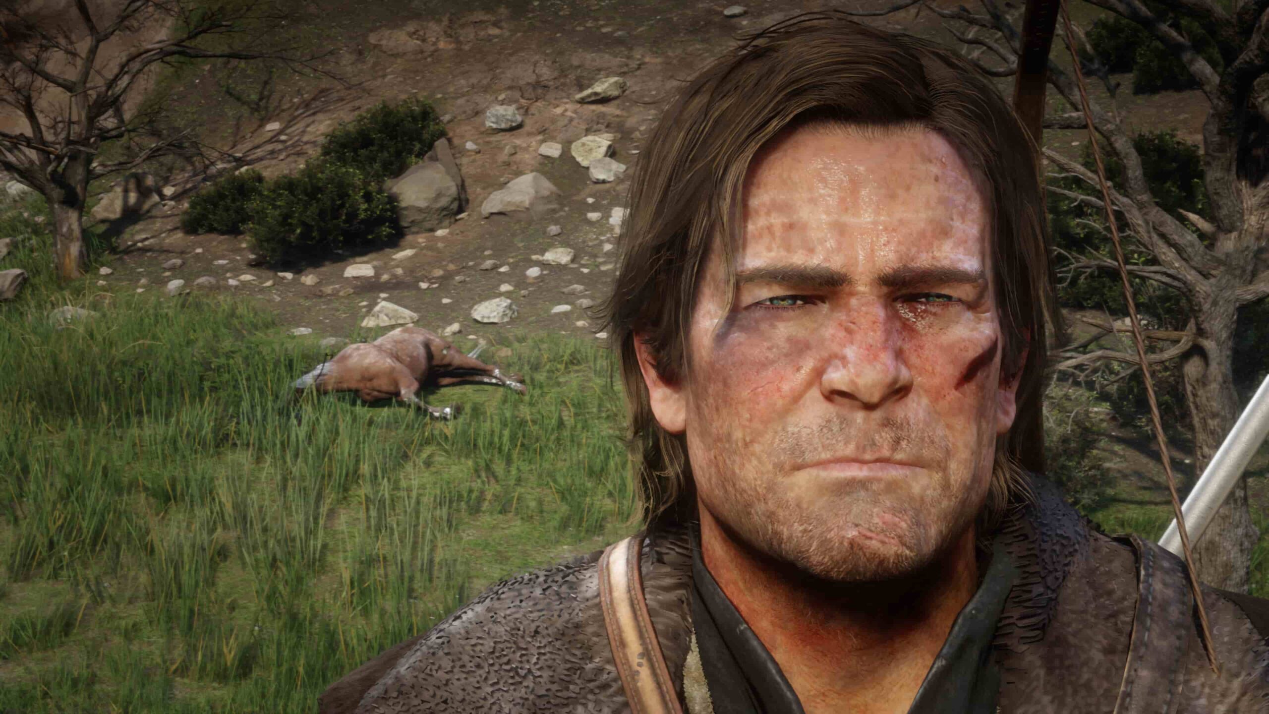 Red Dead Redemption 2 Red Dead Redemption 2 Red Dead Online