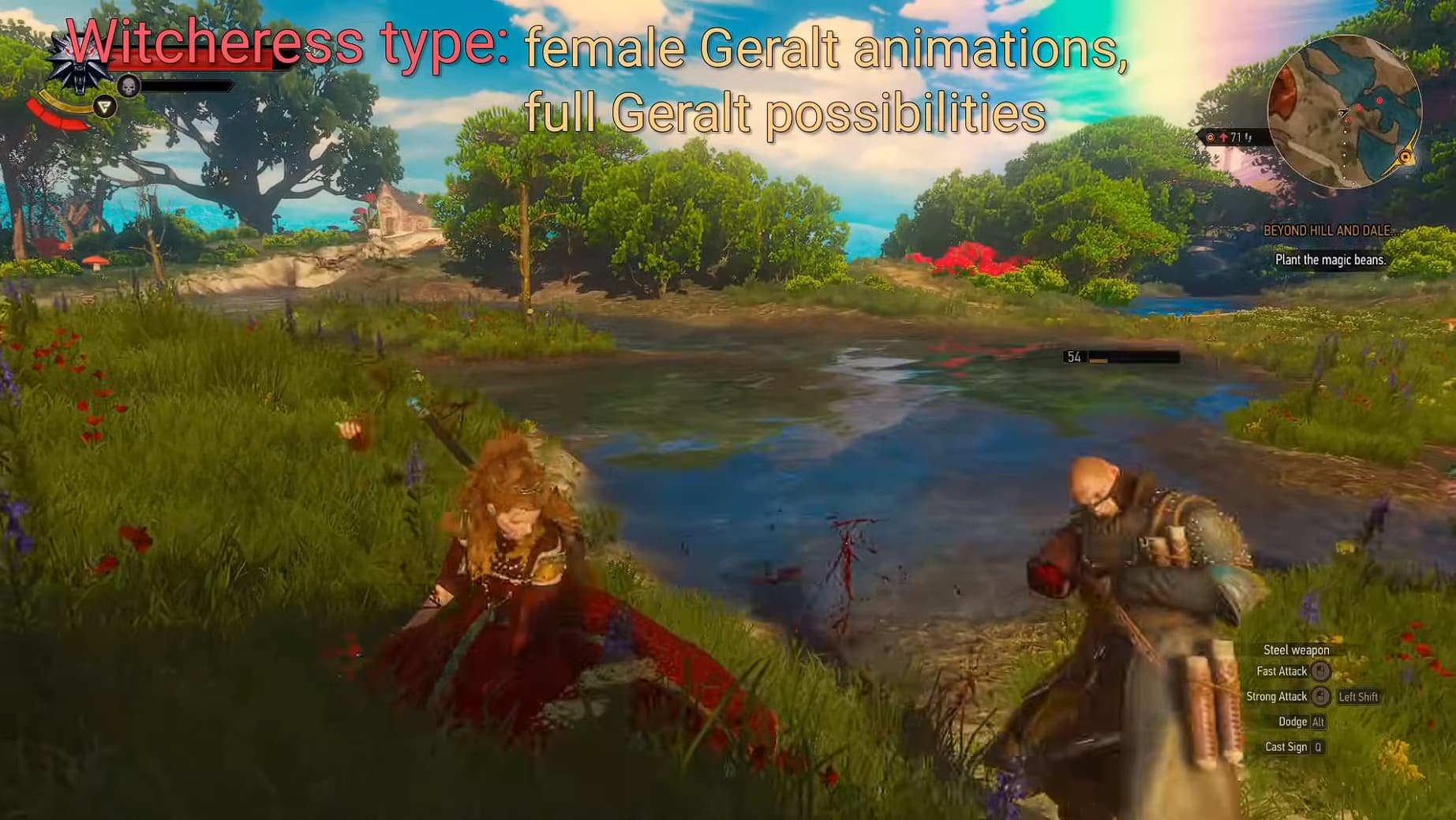 The Witcher 3 Custom Player Characters The Witcher 3