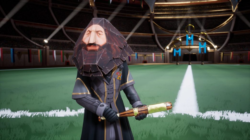 Harry Potter Campeões do Quadribol