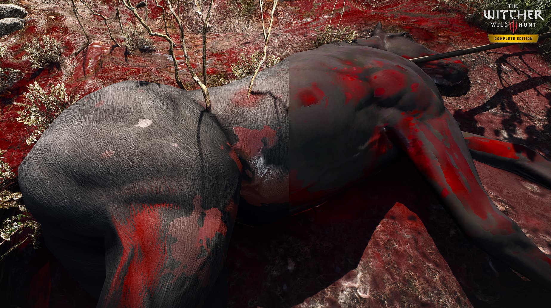 The Witcher 3 The Witcher 3 HD Reworked Project NextGen Edition