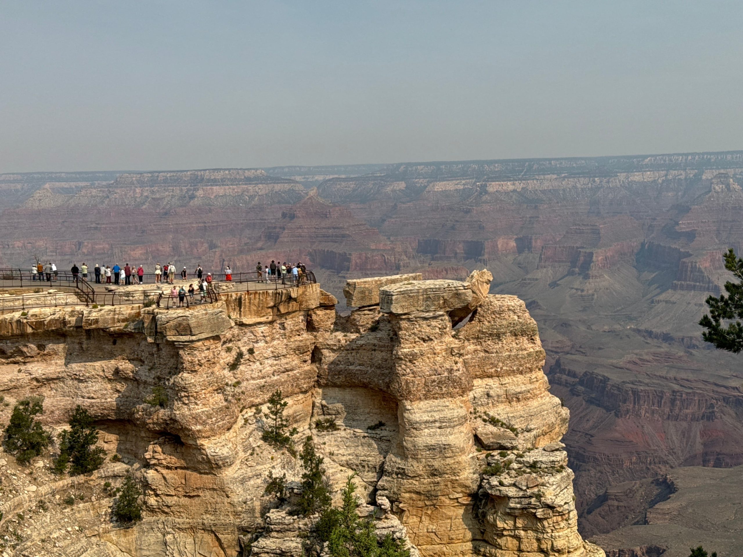 Flight Simulator Flight Simulator 2024 Grand Canyon
