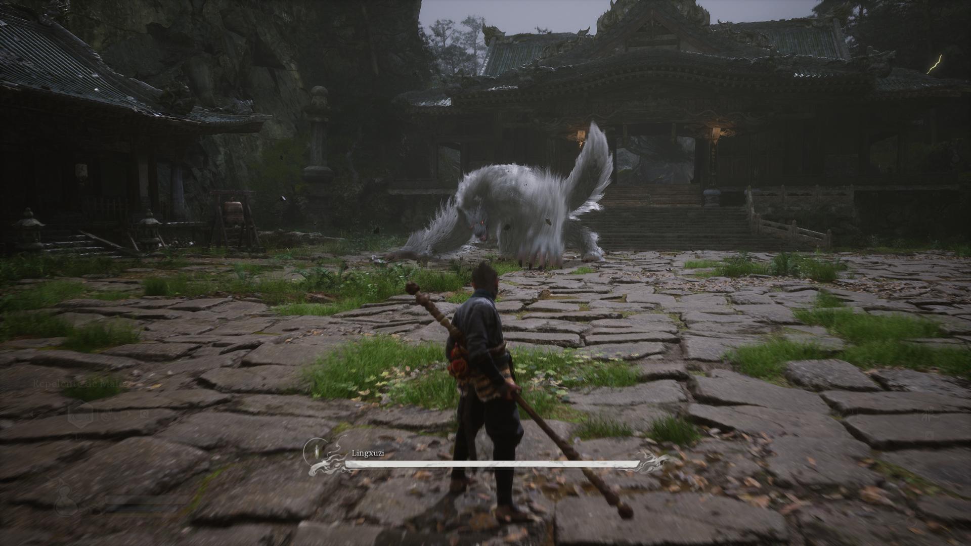 Black Myth Wukong Black Myth Wukong
