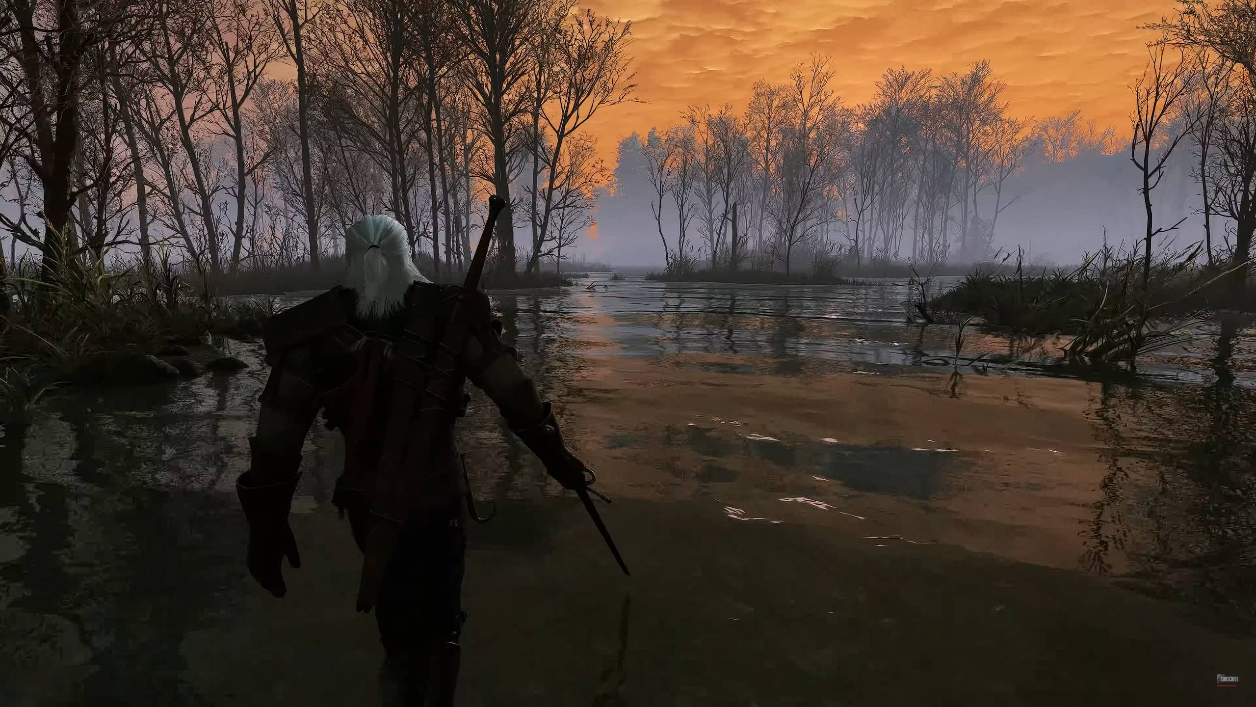 The Witcher 3 The Witcher 3 mods