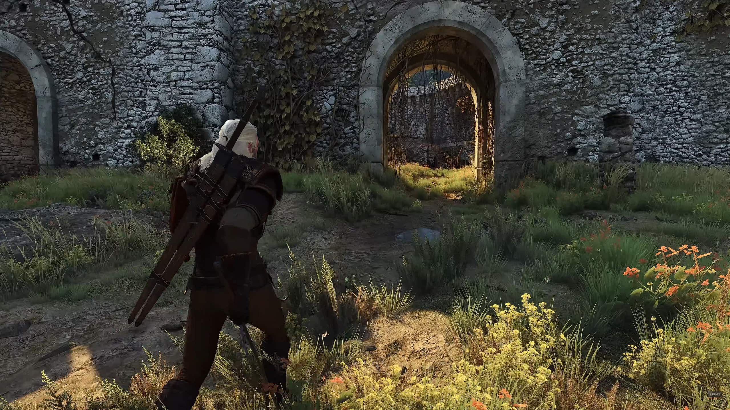 The Witcher 3 The Witcher 3 mods