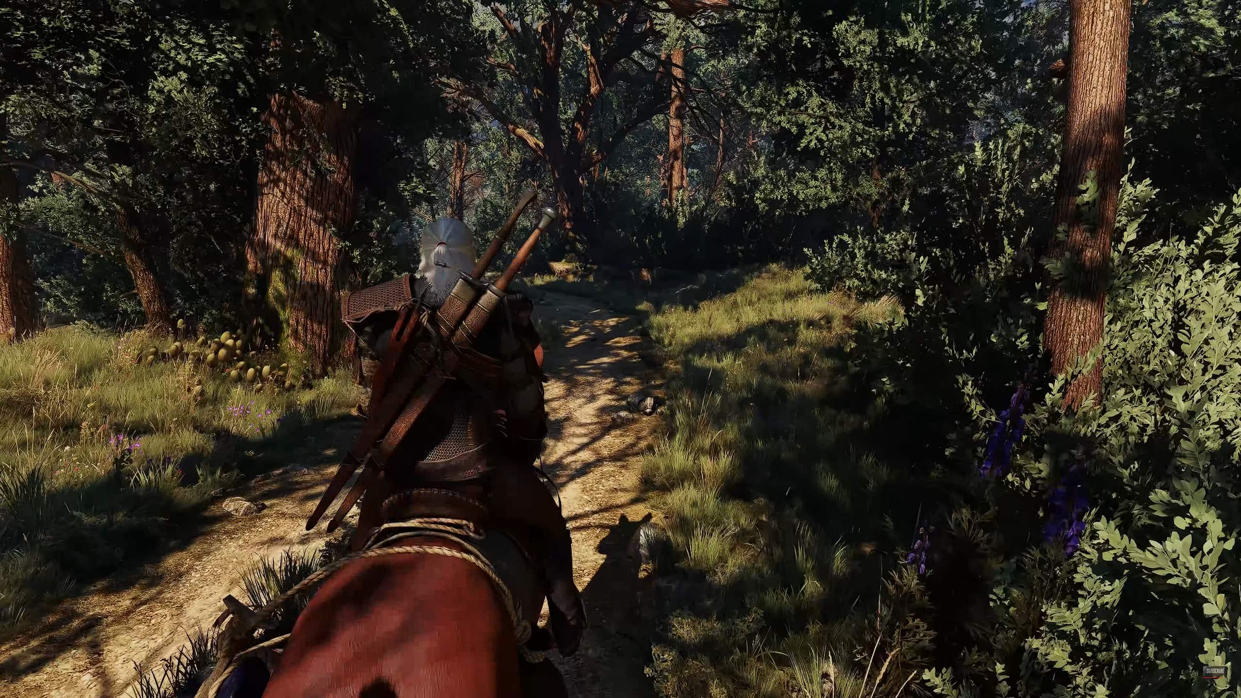 The Witcher 3 The Witcher 3 mods