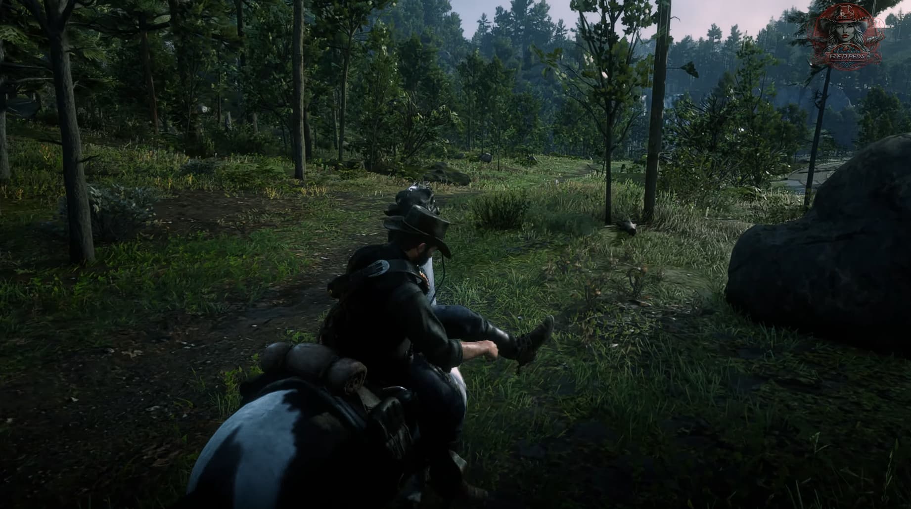 Red Dead Redemption 2 Red Dead Redemption 2 Ambush mod