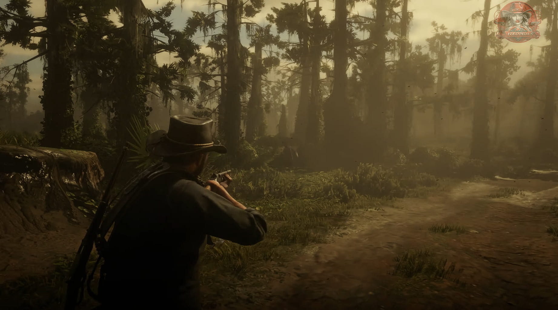Red Dead Redemption 2 Red Dead Redemption 2 Ambush mod