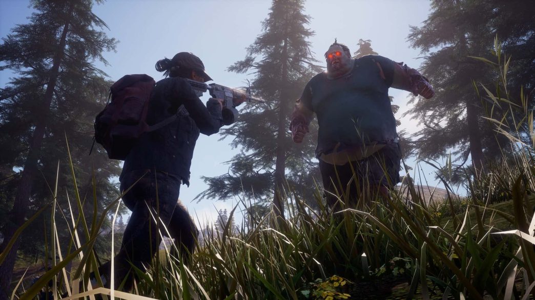 state of decay 2 state of decay 2