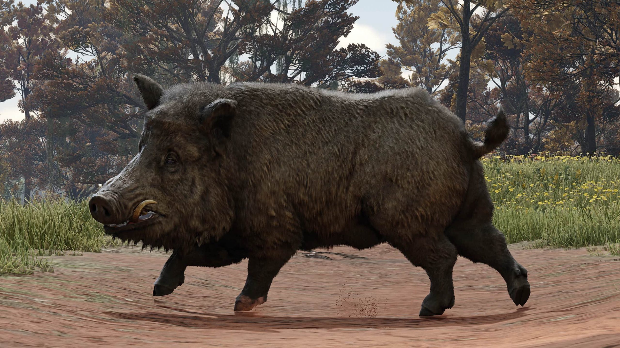 Red Dead Redemption 2 Red Dead Redemption 2