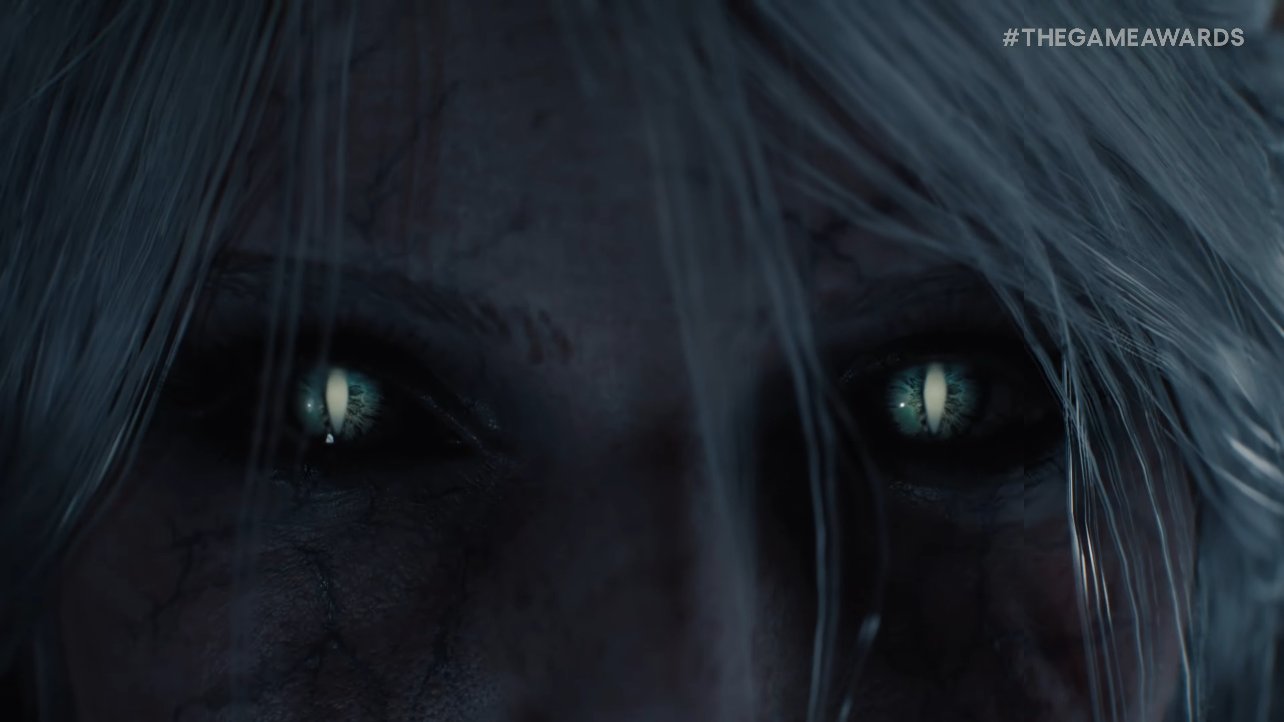 the witcher 4 The Witcher 4