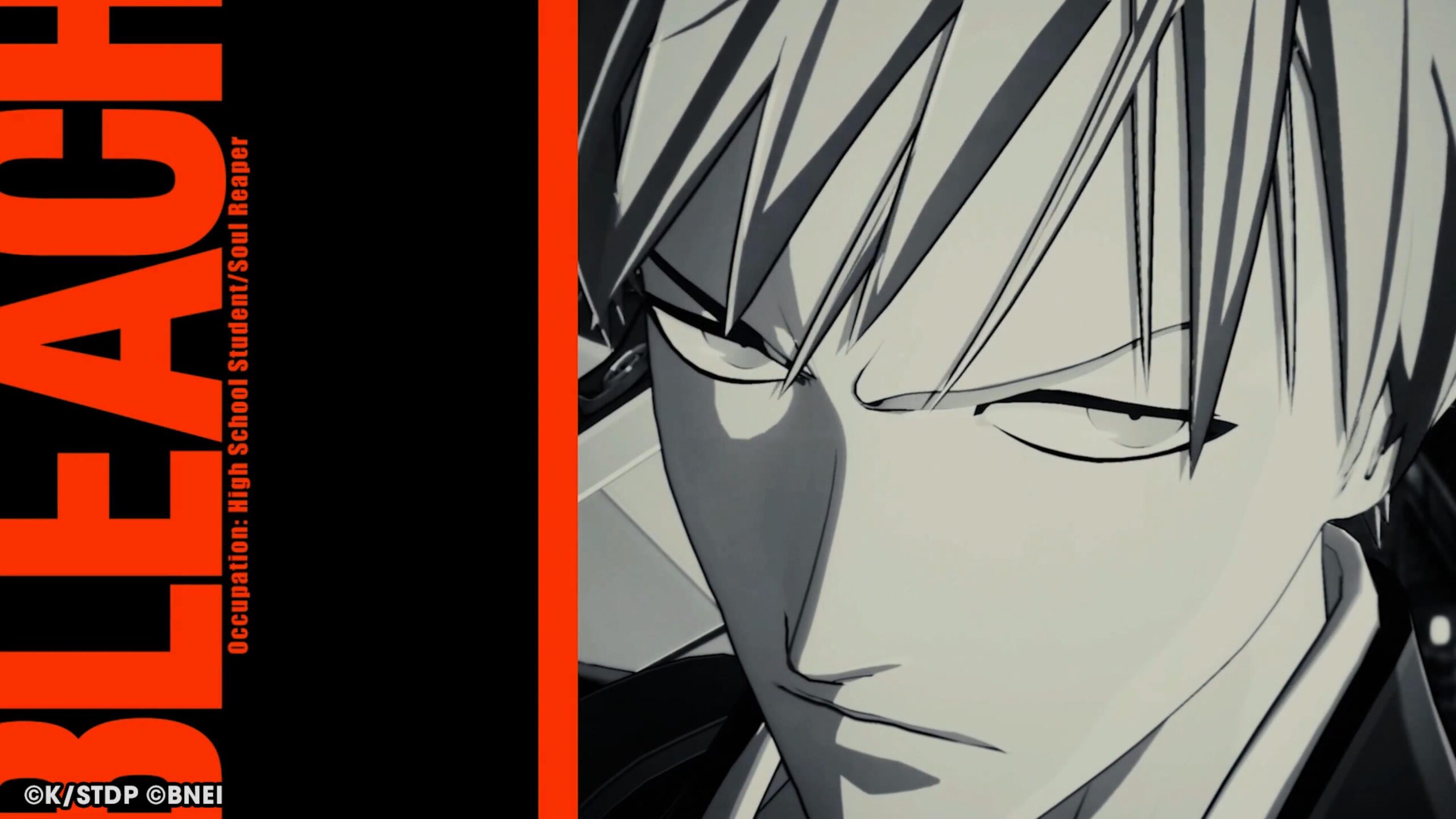 Bleach Bleach Rebirth of Souls
