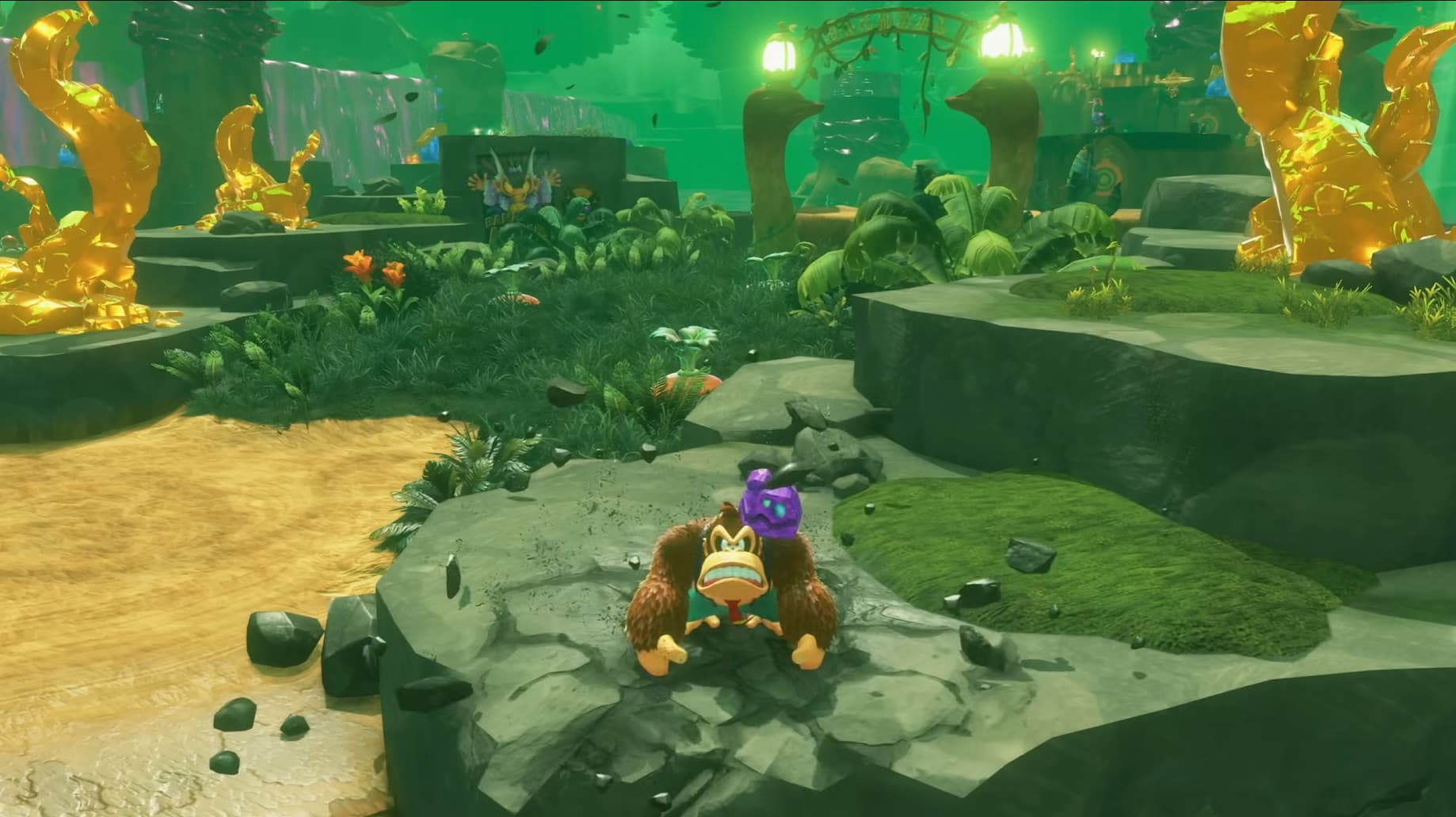 Donkey Kong Bananza Donkey Kong Bananza